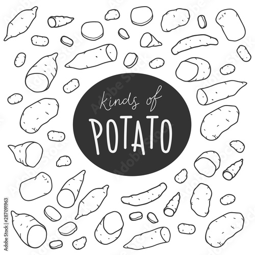 hand drawn collection of various kinds of potato in black and white colors. Clipart illustration design elements. yam potato, royal, kipfler and different sorts of farming vegetables isolated on white
