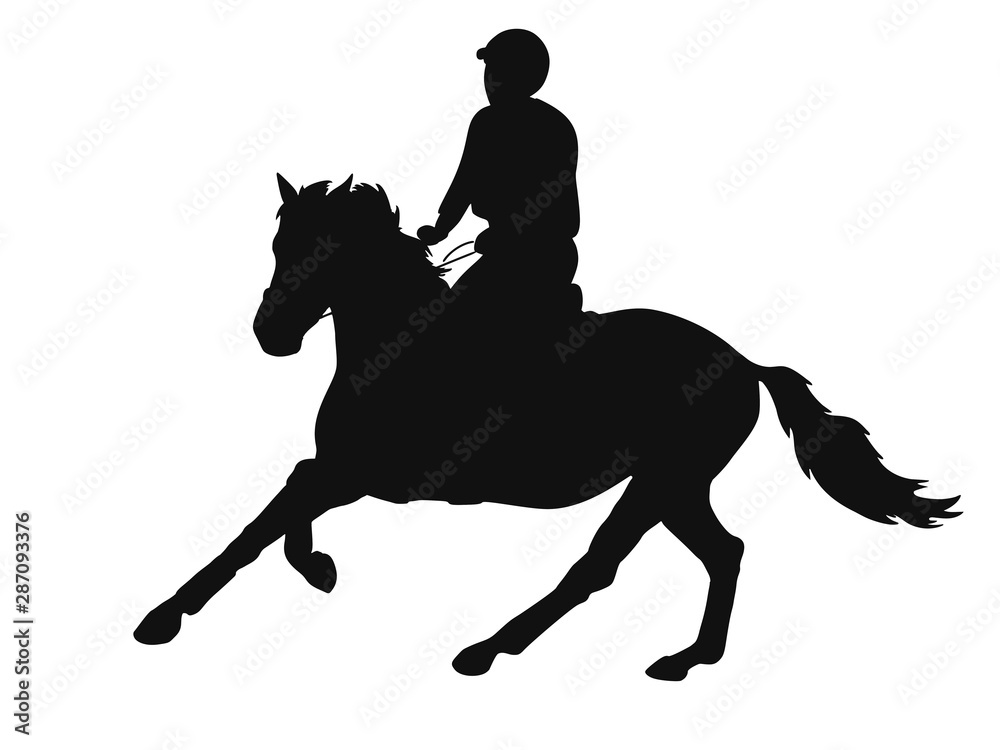 Silhouette of a horse and rider at the equestrian competitions