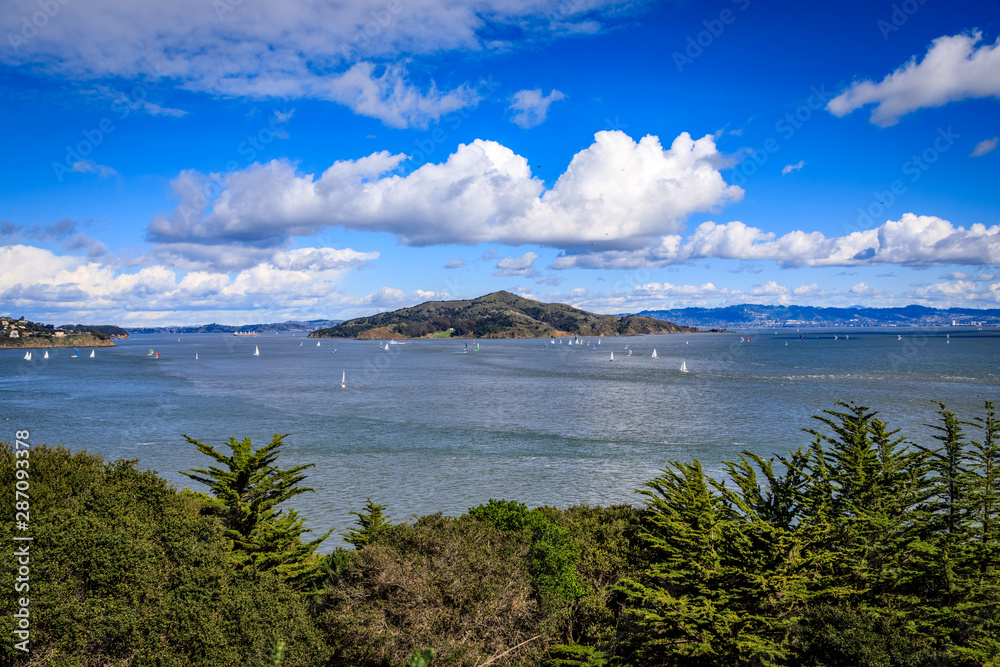 View of Angel Island with water and lush trees in the foreground seen from a beach in Sausalito California