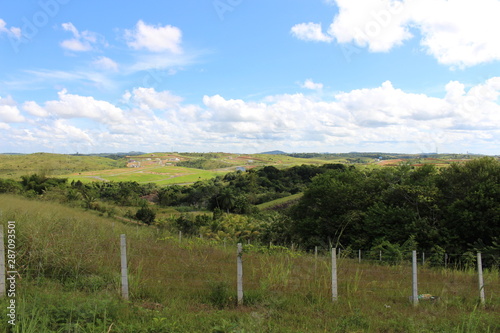 NATURE GREEN SKY