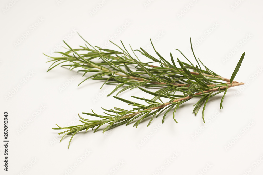 Rosemary on white background macro Rosemary on white background macro