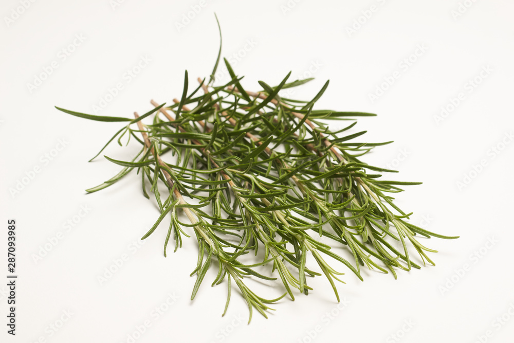 Rosemary on white background macro Rosemary on white background macro