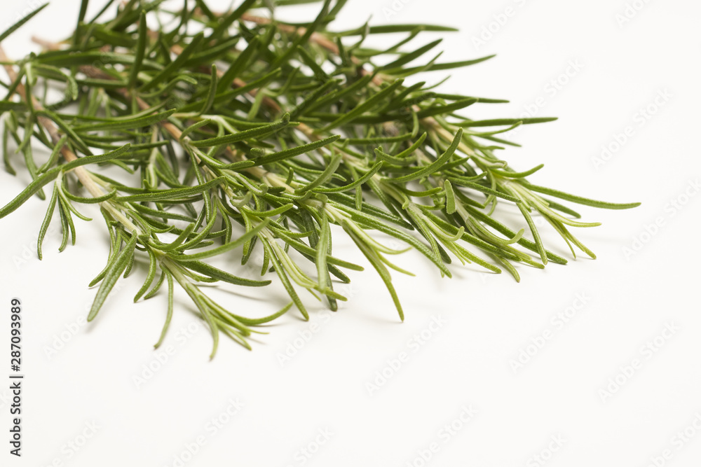 Rosemary on white background macro Rosemary on white background macro