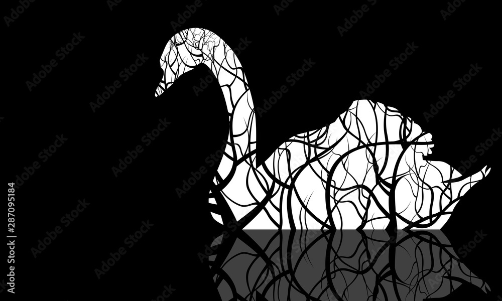 Swan illustration on dark background Swan illustration on dark background