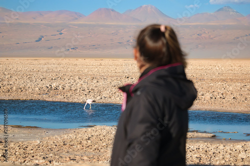Young Female Tourist Watching Flamingos at Atacama Desert