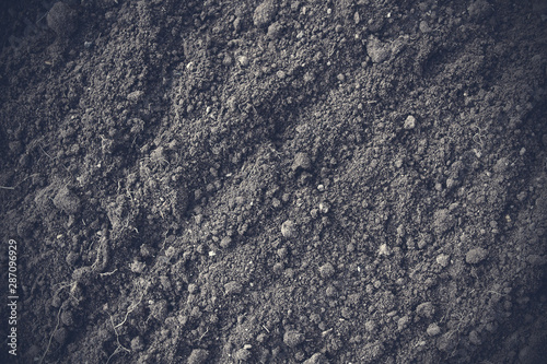 Fresh black soil. Close-up. Top view. Background. Texture.