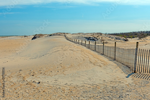 Beach Dunes Encroaching on the Sand Fence