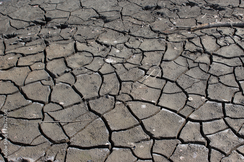 Cracked soil during heat period, dried out earth for background or texture