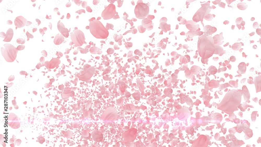 Cherry Blossom Sakura Petals and Lens Flares Particles background Cherry Blossom Sakura Petals and Lens Flares Particles background