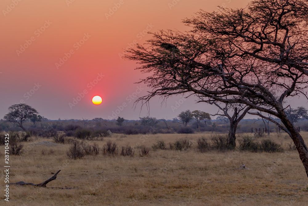 Amazing sunset with beautiful landscape at Hwenge national park, Zimbabwe