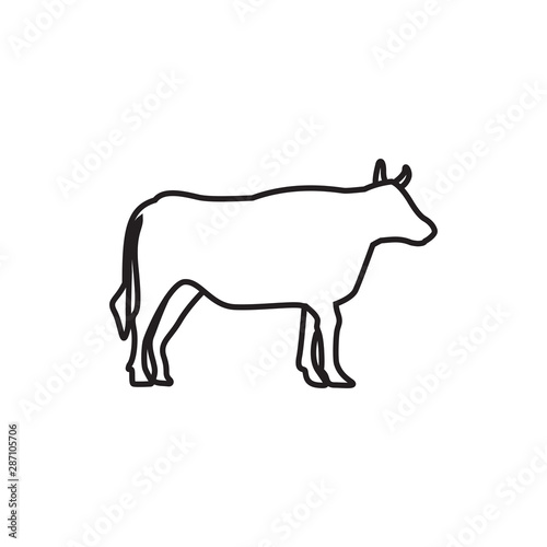 Cow graphic design template vector isolated illustration