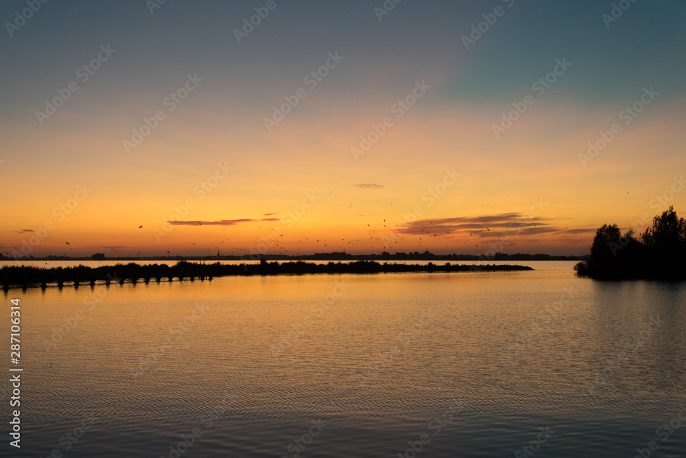 Birds in sunset above lake in Friesland, The Netherlands. Typical Dutch landscape and scene.