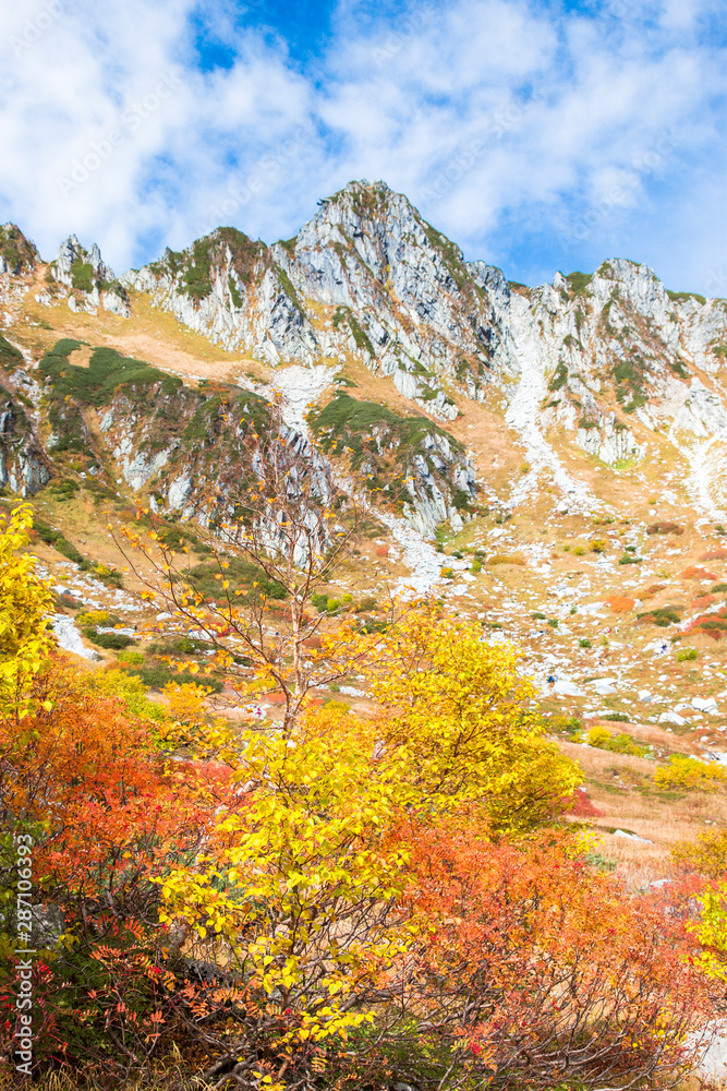 長野県駒ヶ根市 千畳敷カールの紅葉 Stock Photo Adobe Stock