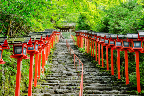 夏の貴船神社