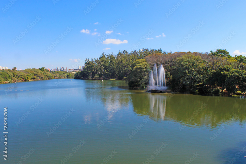 Fototapeta premium Campinas