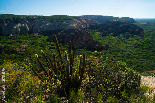 The Serra da Capivara National Park is in Caatinga, the only exclusively Brazilian biome..Piaui - Brazil. photo