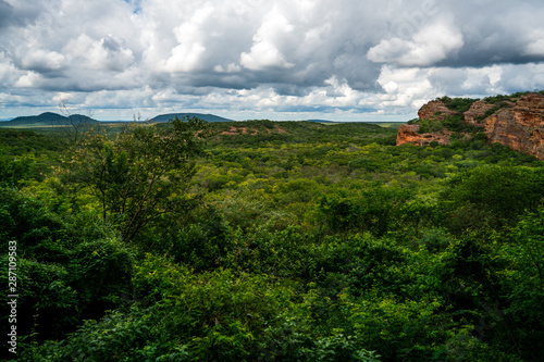 The Serra da Capivara National Park is in Caatinga, the only exclusively Brazilian biome..Piaui - Brazil.