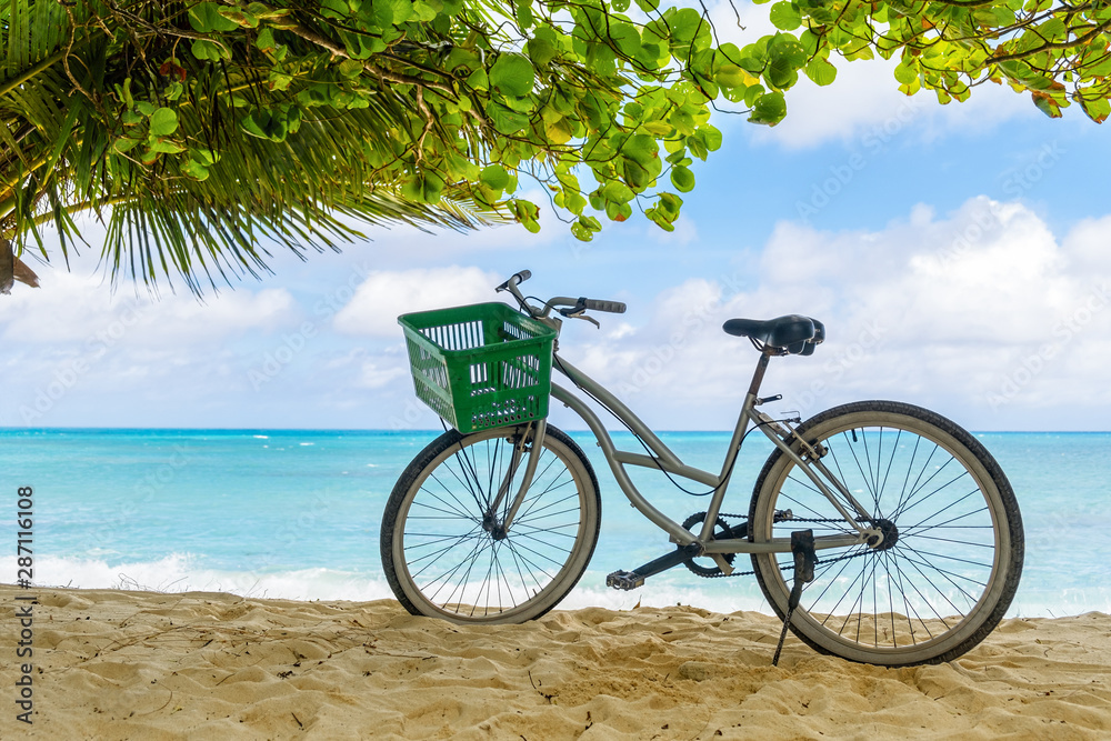 Fototapeta premium Lonely old bicycle with green becket on tropical beach of Denis island, Seychelles