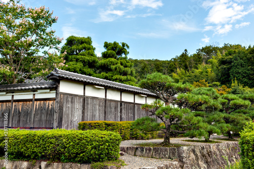 View of a Japanese garden with a traditional white/wooden wall in summer time