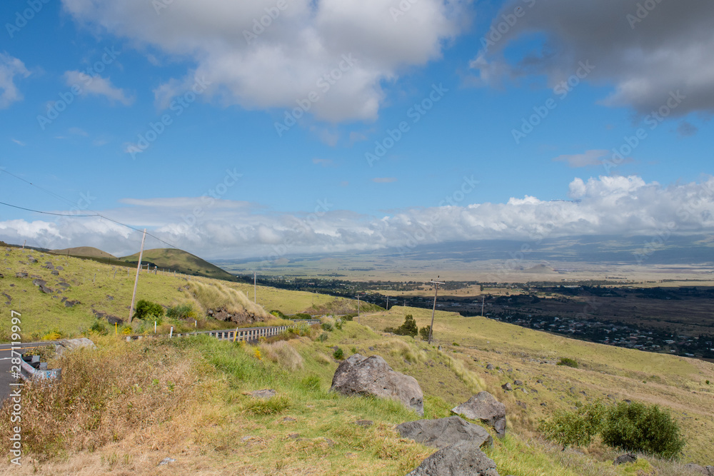 Fototapeta premium ハワイ島の美しい草原