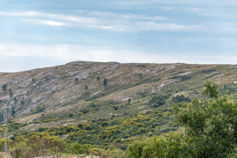 Sierra de las Animas, paseos y caminatas en la salida del monte indígena 