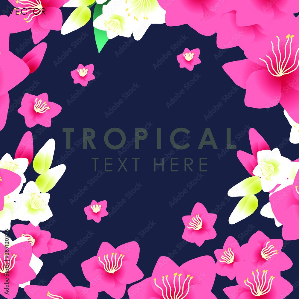 Lily flower isolate frame, Vector illustration design element Lily flower isolate frame, Vector illustration design element
