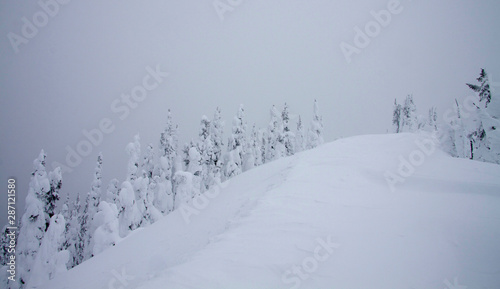 snowy winter ridge