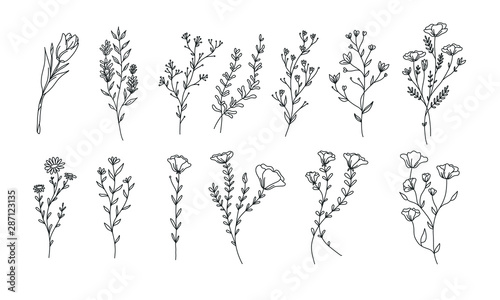 plant and floral lineart illustration for romatic decoration or stock of wedding print  flower vector bundle
