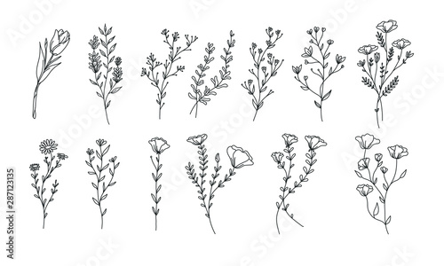 plant and floral lineart illustration for romatic decoration or stock of wedding print, flower vector bundle