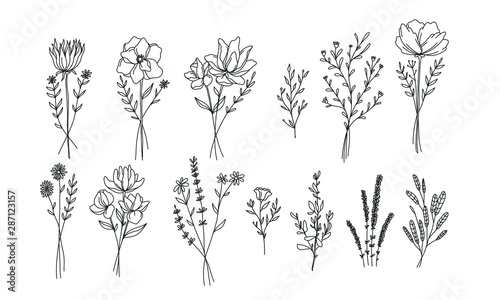 plant and floral lineart illustration for romatic decoration or stock of wedding print, flower vector bundle
