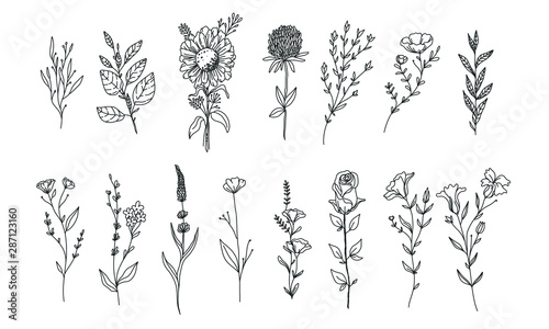 set of flower and plant for wedding decoration, romantic print, floral set illustration 