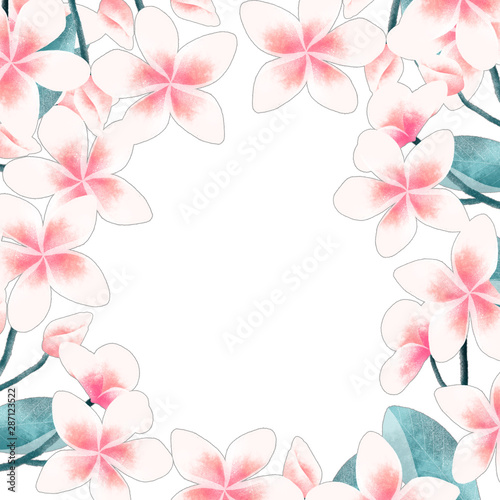 Plumeria flower frame