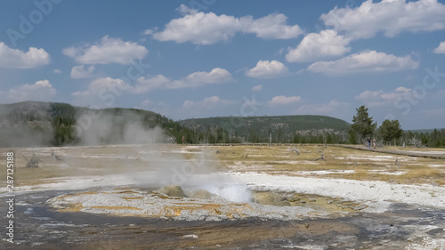 view of jewel geyser in yellowstone np