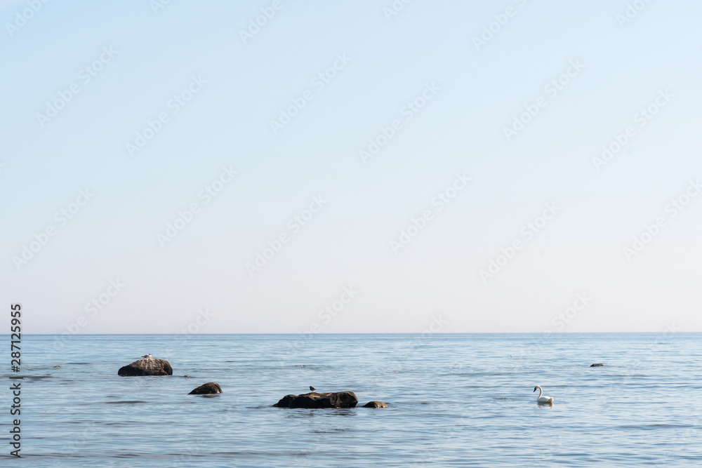 Obraz premium Calm coastal view with birds on the rocks in the water