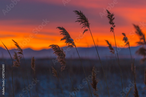 Warm Sunset Tones Illuminate Grass Alond Cold Mountian Lake