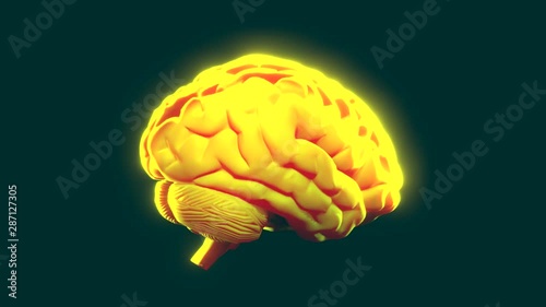 Yellow brain turning. 3d animation