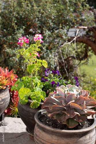 Jardin