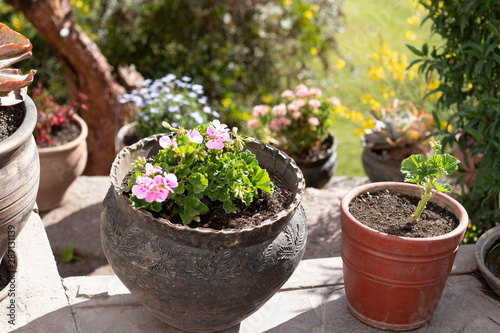 Planters