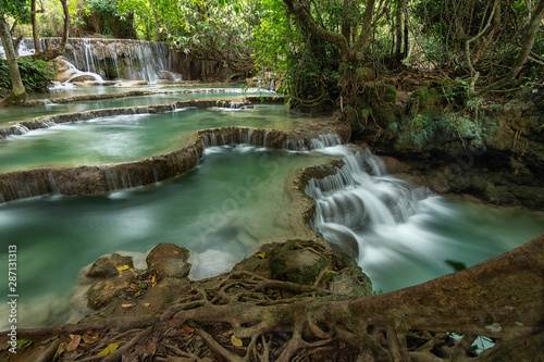 Fototapeta Naklejka Na Ścianę i Meble -  Kuang Si Waterfall is the most beautiful waterfall near Luang prabang,Laos