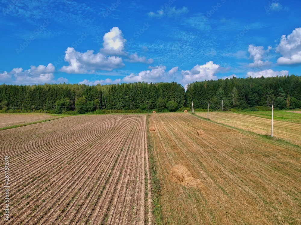 road in the field road in the field