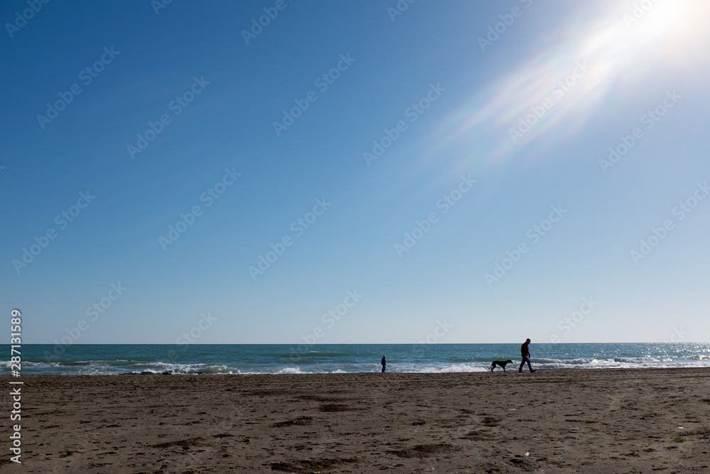 landscape of a beach with human silhouettes and a dog and with sunbeam