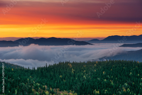 A beautiful autumn dawn in the Ukrainian Carpathian Mountains, with fogs in the valleys and forests, and yellow-red trees. © reme80