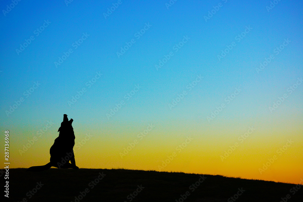 夕暮れの丘に立つ犬のシルエット