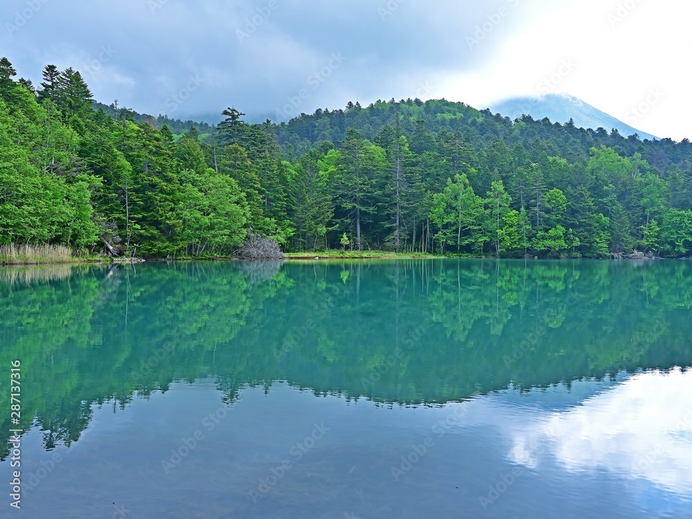 Fototapeta premium 遊歩道から見るオンネトー湖の情景@北海道