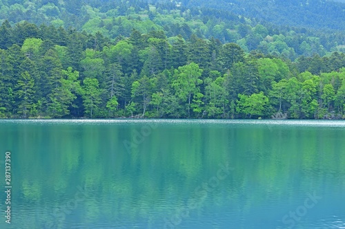 遊歩道から見るオンネトー湖の情景＠北海道