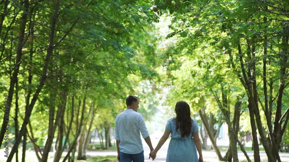 Young Man and his Pregnant Wife Walking in Summer Park. Back Side View. Slow Motion. The Concept of Family Happiness Young Man and his Pregnant Wife Walking in Summer Park. Back Side View. Slow Motion. The Concept of Family Happiness