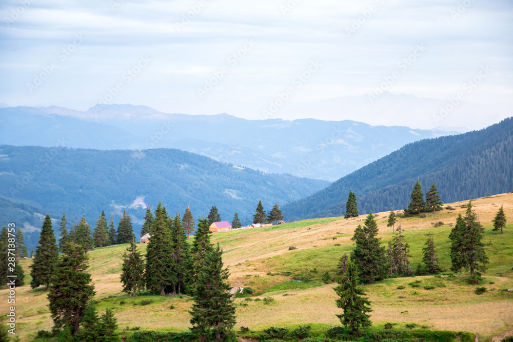 huts and sheeps herd in the mountain valley, yellow grass and blue mountains on the background huts and sheeps herd in the mountain valley, yellow grass and blue mountains on the background