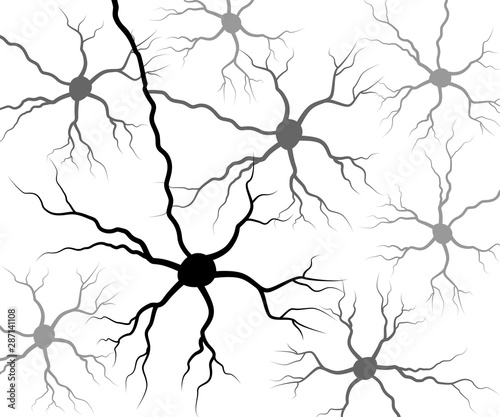 Set black human neuron. Neural network technology science medicine anatomy. Vector illustration