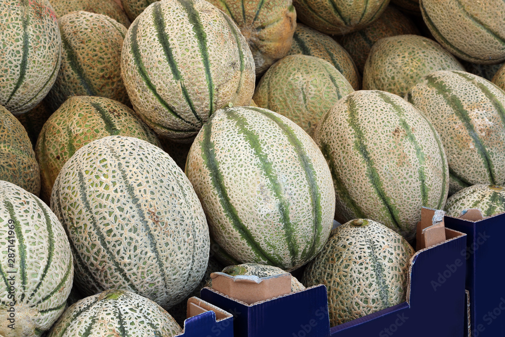 big ripe melons for sale
