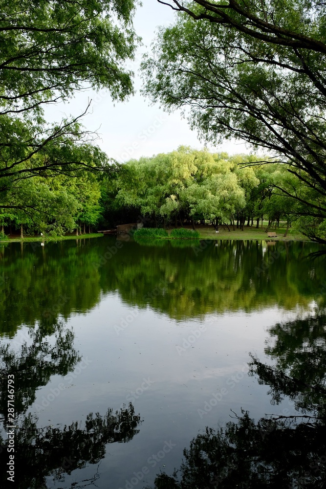 green forest reflection in peaceful lake. frame of tree branches. green forest reflection in peaceful lake. frame of tree branches.
